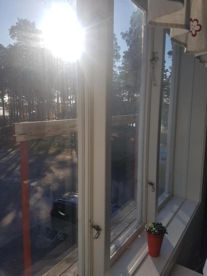 Furudals Vandrarhem Och Sjoecamping Eksteriør bilde