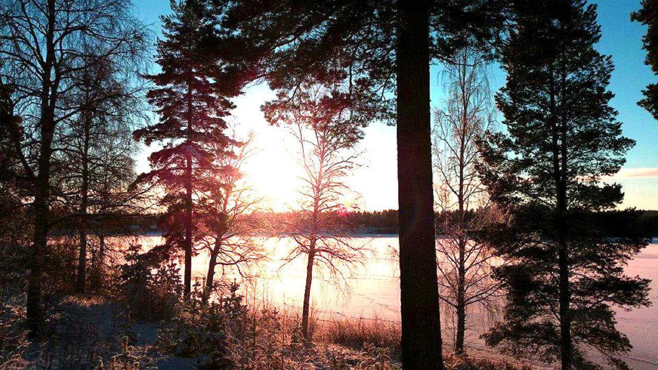 Furudals Vandrarhem Och Sjoecamping Eksteriør bilde